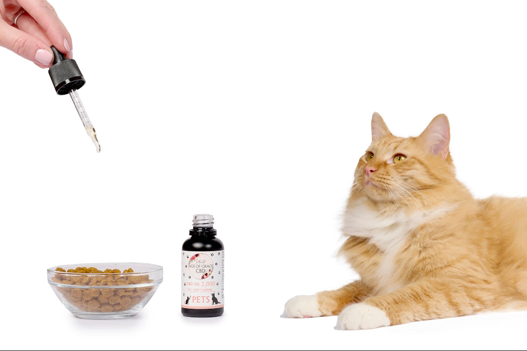 2,000mg CBD Pet Oil (3.3% Concentration), Unflavored, 30mL